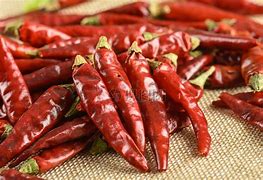 苹果版辣椒下载抖音老版本苹果版下载-第2张图片-太平洋在线下载