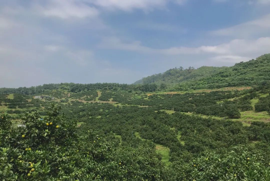 琼中客户端奔格内琼中客户端电脑版-第2张图片-太平洋在线下载